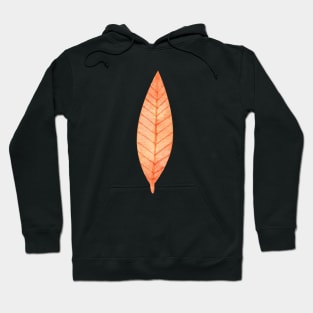 orange colored autumn leaf Hoodie